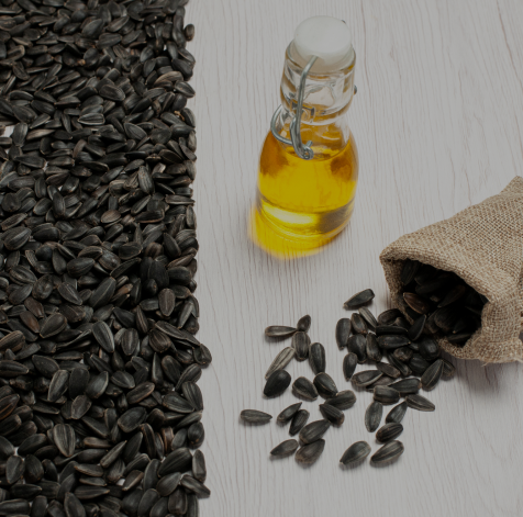 Maatrubhumi Oil Seeds