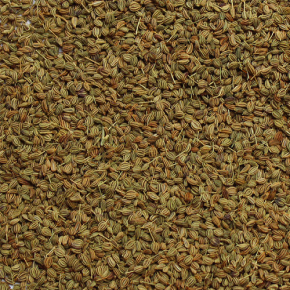 Ajwain