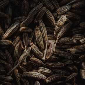 Cumin