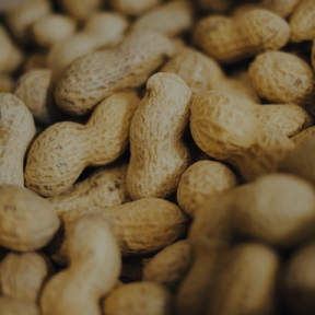 Groundnut seeds