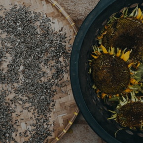 Maatrubhumi Sunflower Seeds